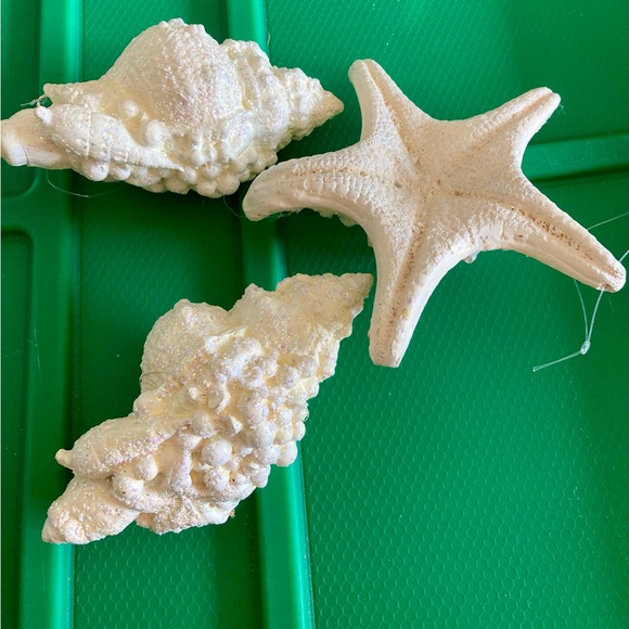 ♥️🤍💙3 NEW Ornament White Seashell and Starfish Set - Picture 3 of 3